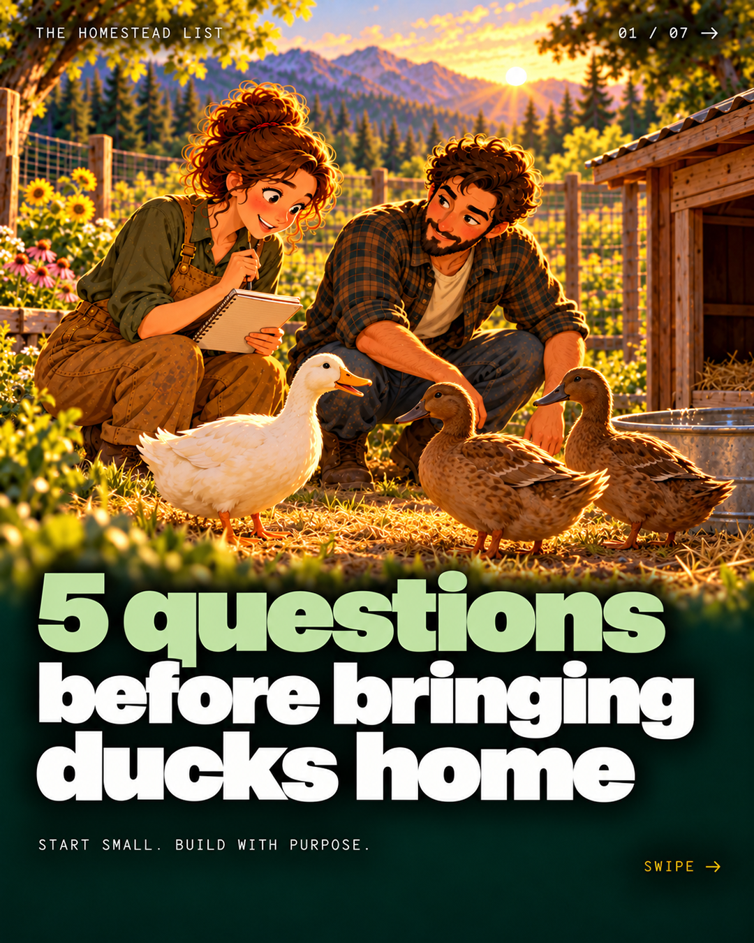 5 Questions Before Bringing Ducks Home