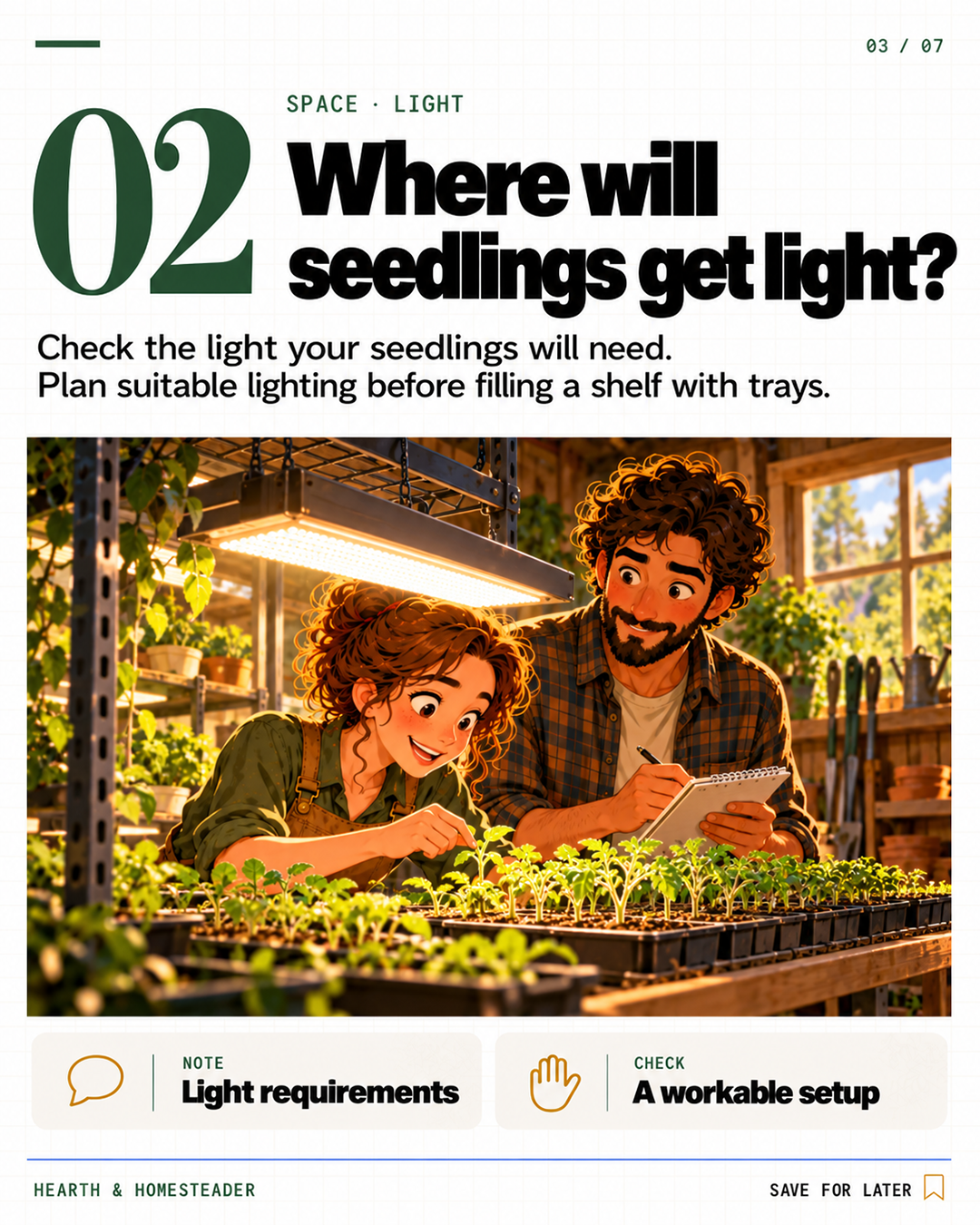 2. Where will seedlings get light?