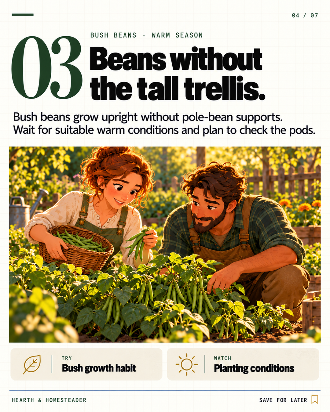 3. Bush beans: check the growth habit.